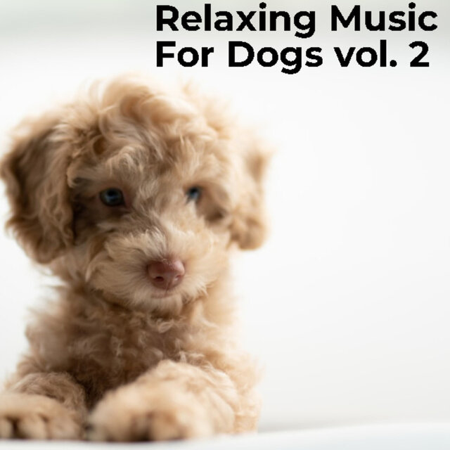 Relaxing Music for Dogs Vol. 2