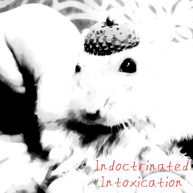 Indoctrinated Intoxication