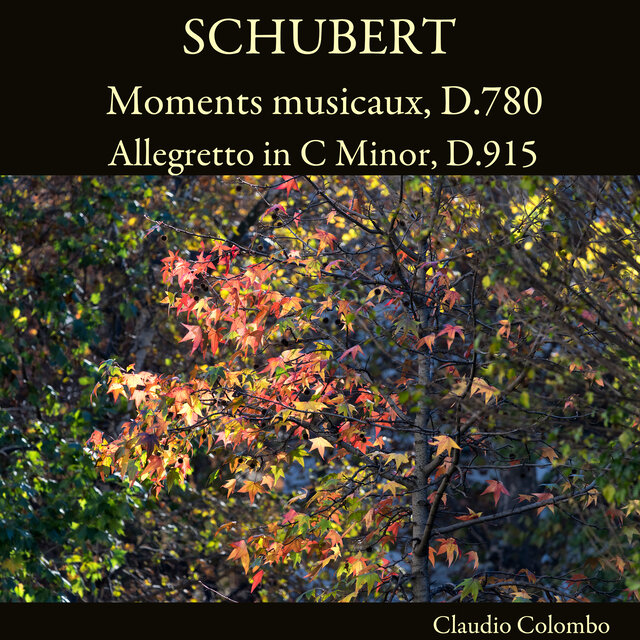 Schubert: Moments musicaux, D.780 - Allegretto in C Minor, D.915
