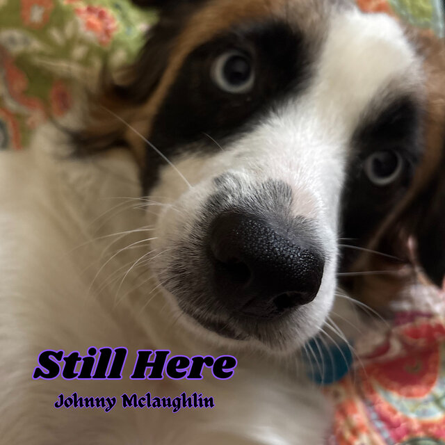 Still Here