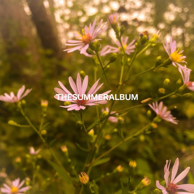 The Summer Album