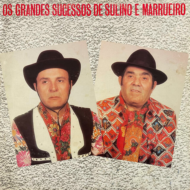 Os Grandes Sucessos de Sulino e Marrueiro