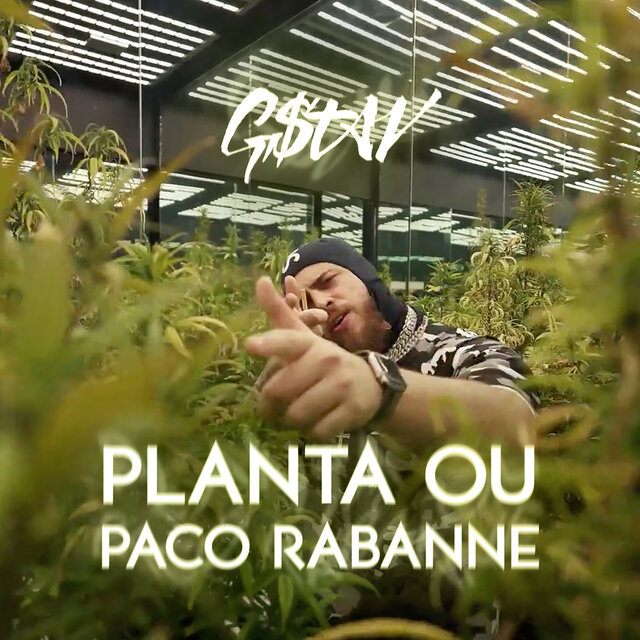 Planta Ou Paco Rabanne