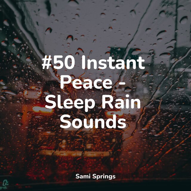 #50 Instant Peace - Sleep Rain Sounds