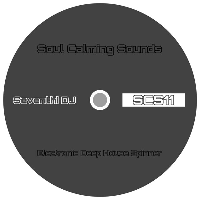 Electronic Deep House Spinner