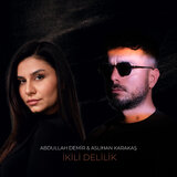 İkili Delilik
