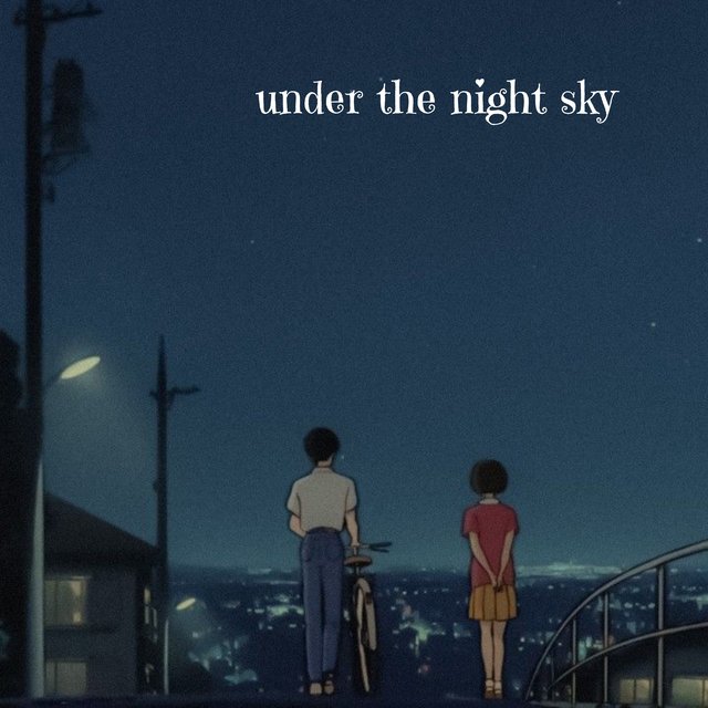 under the night sky