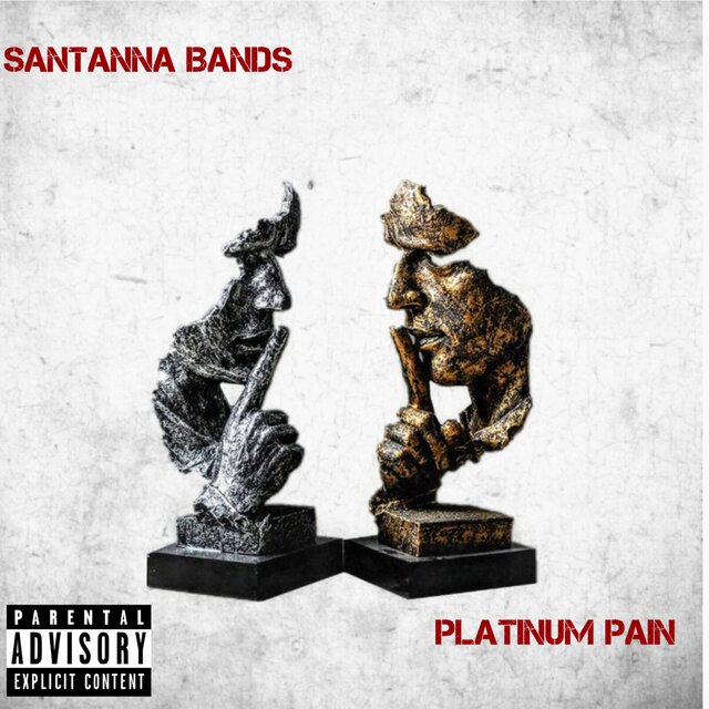 Platinum Pain