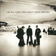 Cover art for album All That You Can't Leave Behind by U2