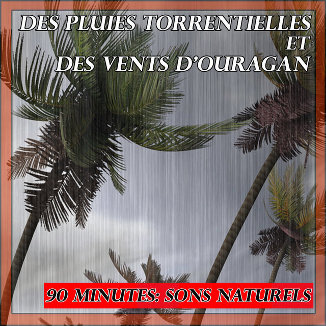 Des pluies torrentielles et des vents d'ouragan: 90 minutes: sons naturels