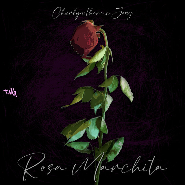 Rosa marchita