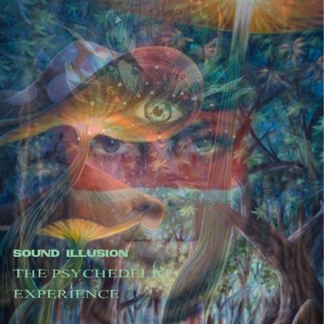The Psychedelic Eexperience