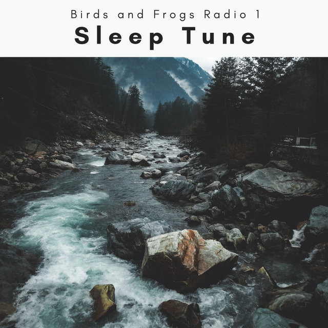 A Sleep Tune