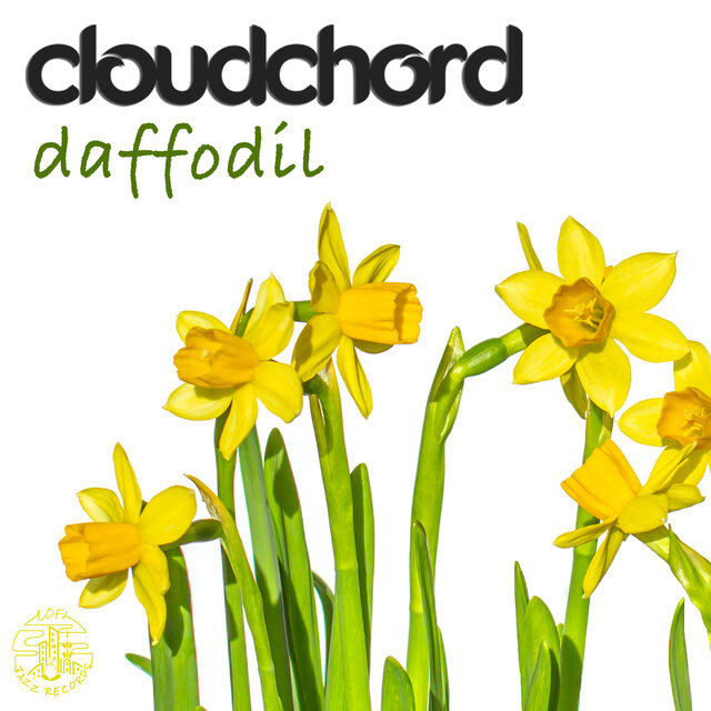 Daffodil