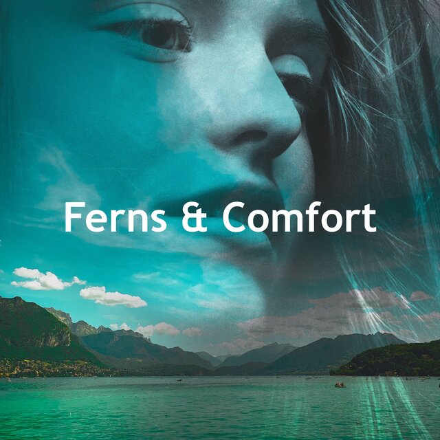 Ferns & Comfort