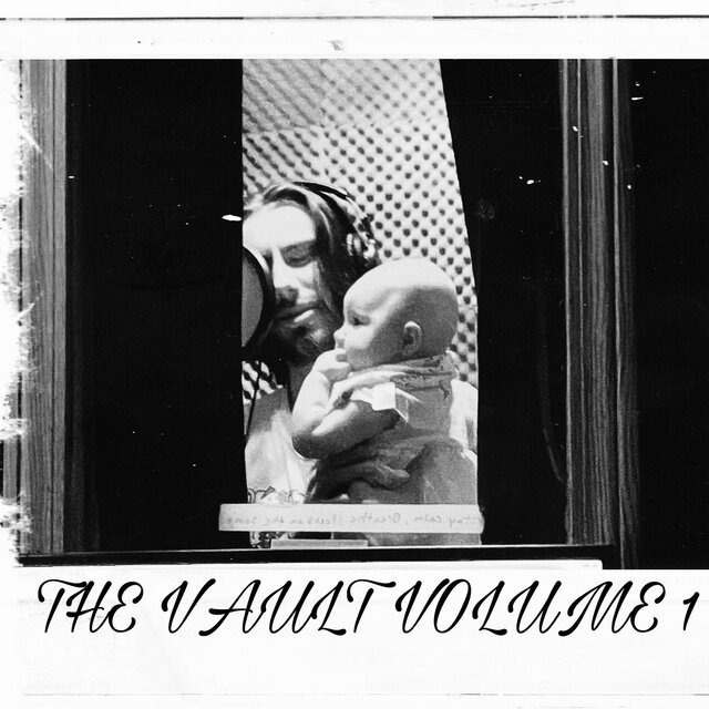 The vault volume 1