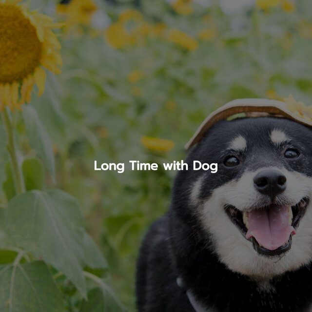 Long Time with Dog