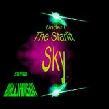 Under The Starlit Sky