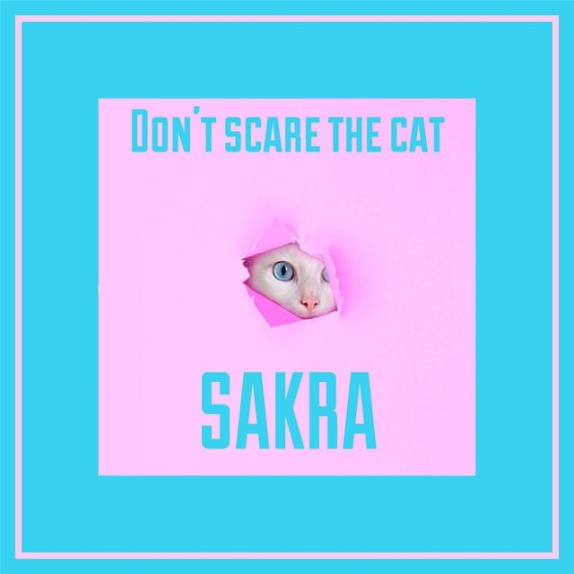 Don't Scare the Cat