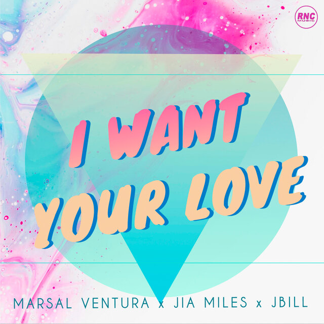 I Want Your Love