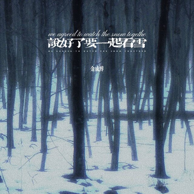 说好了要一起看雪