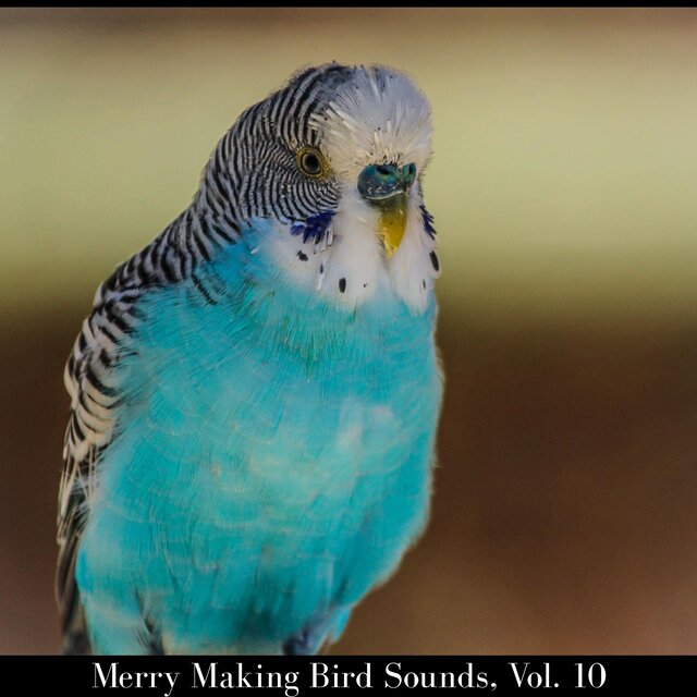Merry Making Bird Sounds, Vol. 10