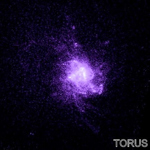 Torus
