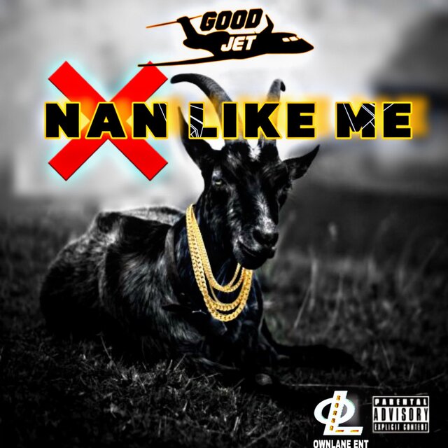 Nan Like Me