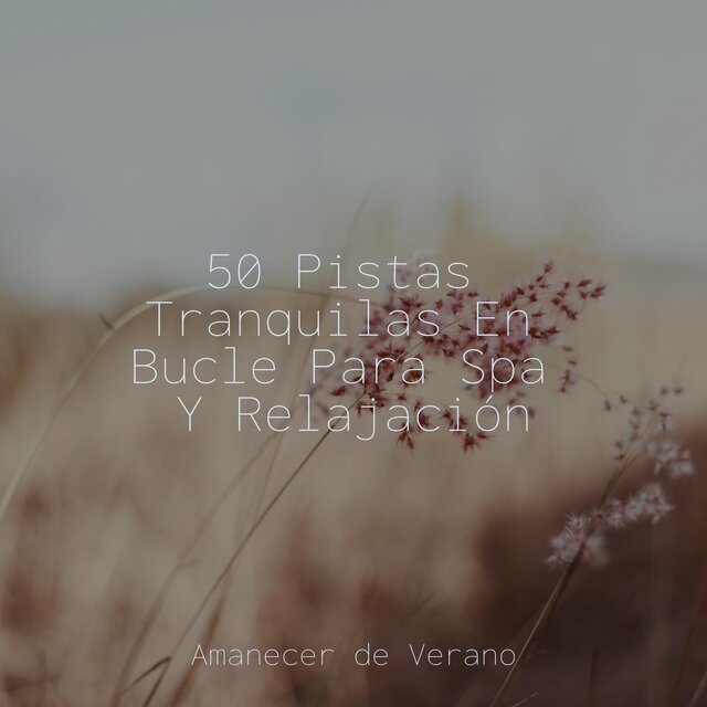 50 Pistas Tranquilas En Bucle Para Spa Y Relajación