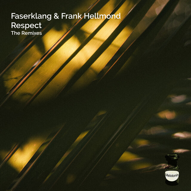 Respect (The Remixes)