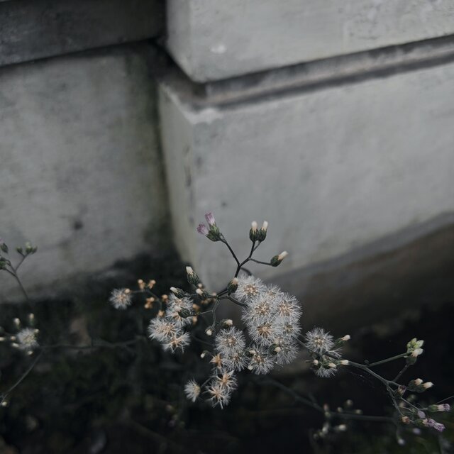 Hujan sunyi