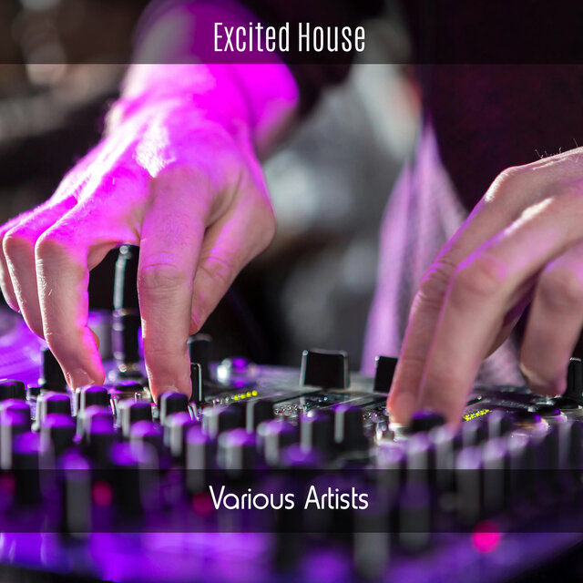 Excited House