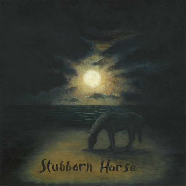 Stubborn Horse