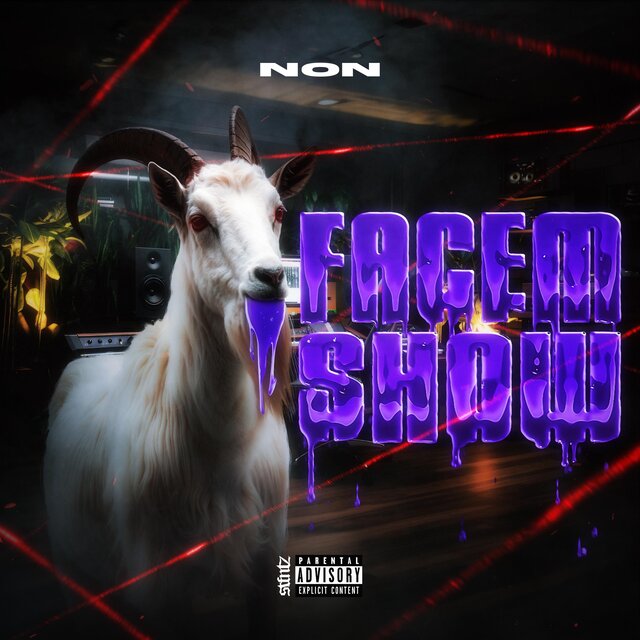 Facem SHOW (Official visual)