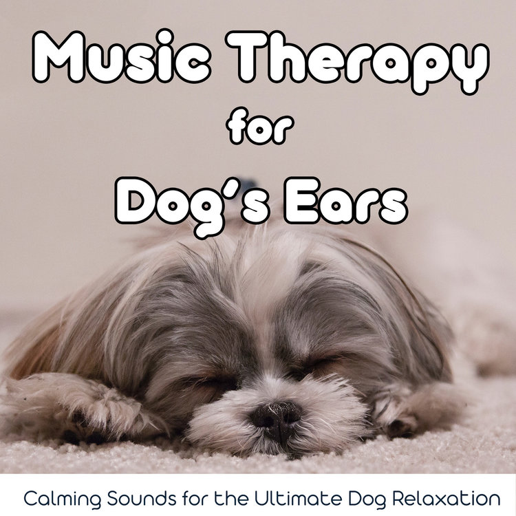 relaxmydog sleep music for dogs