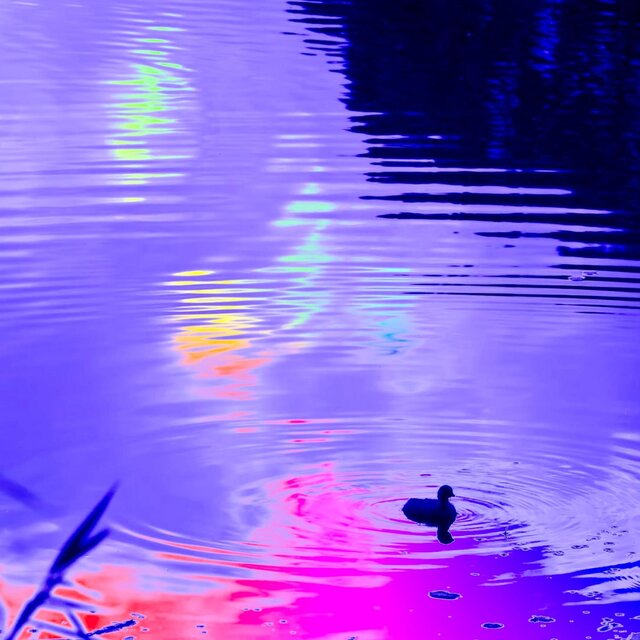 RAINBOW INFINITY