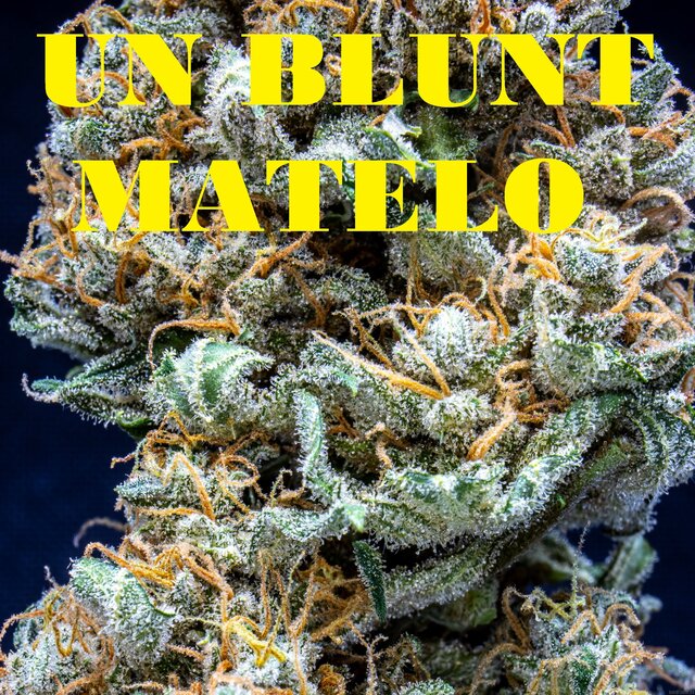 Un Blunt
