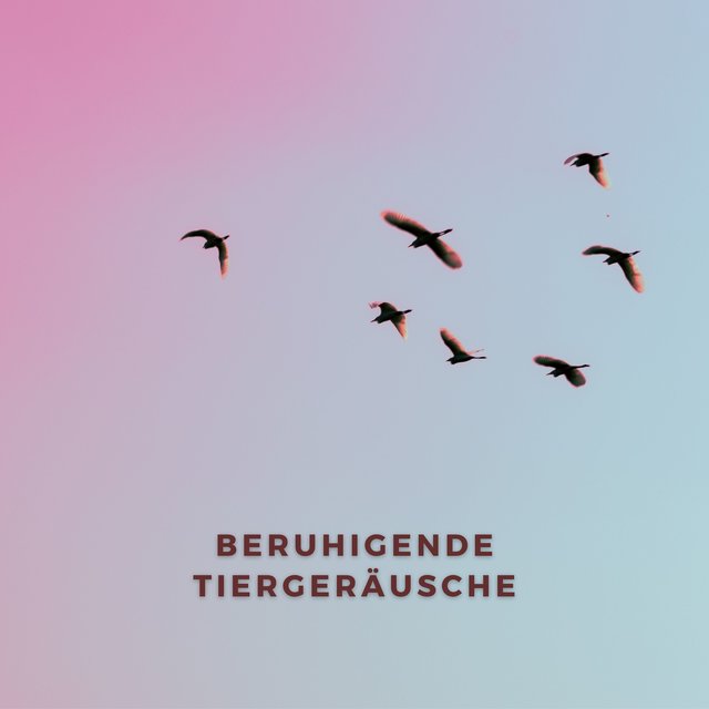 Beruhigende Tiergeräusche – Naturgeräusche aus den Bergen zum Entspannen