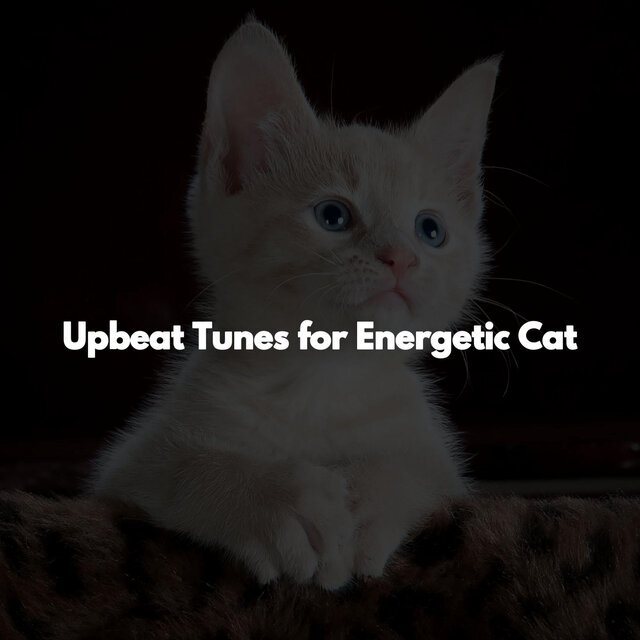Upbeat Tunes for Energetic Cat