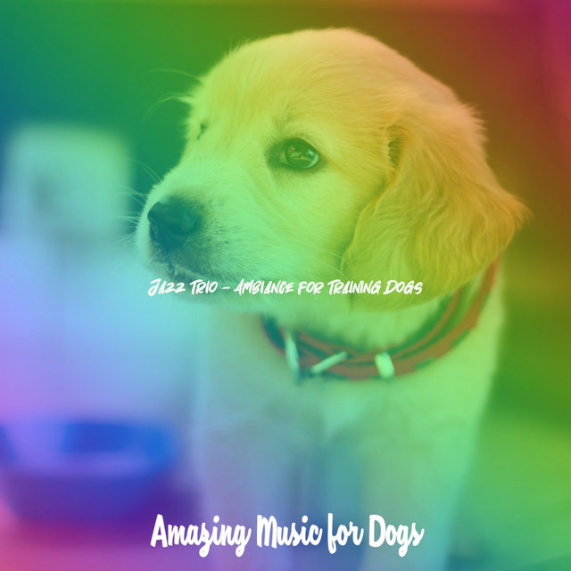 Jazz Trio - Ambiance for Training Dogs
