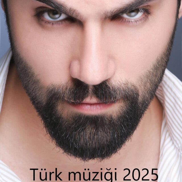 2025 Türk müziği