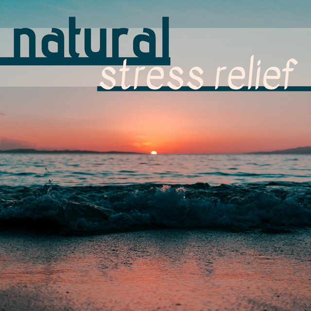 Natural Stress Relief - Chirping Birds, Forest Naturescape Ambience to Relieve Stress