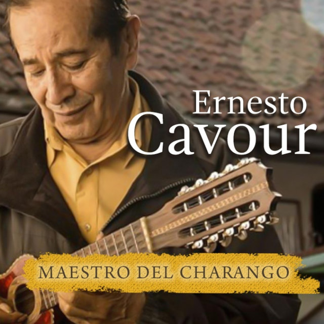 Maestro Del Charango