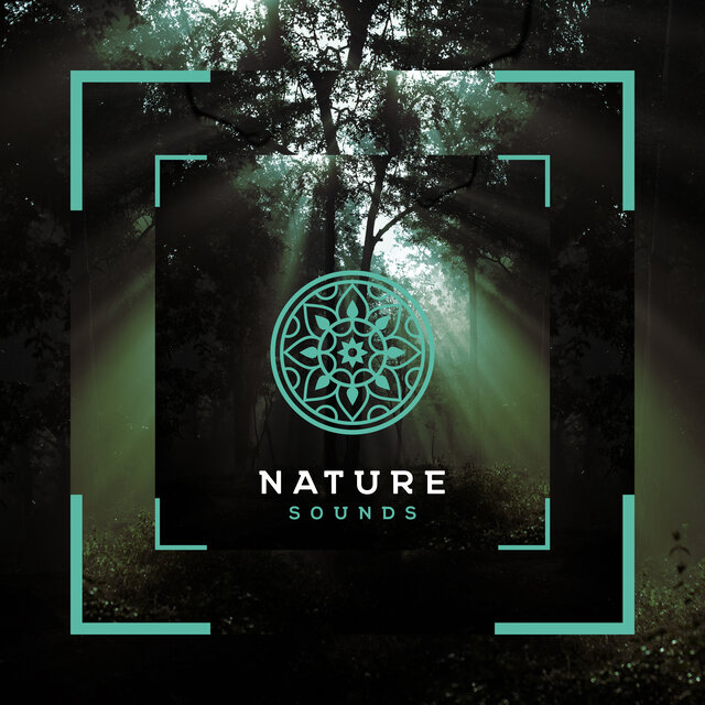 Relaxing Yoga Songs