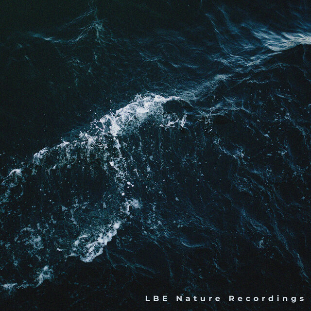 Ocean Sounds Vol. 3