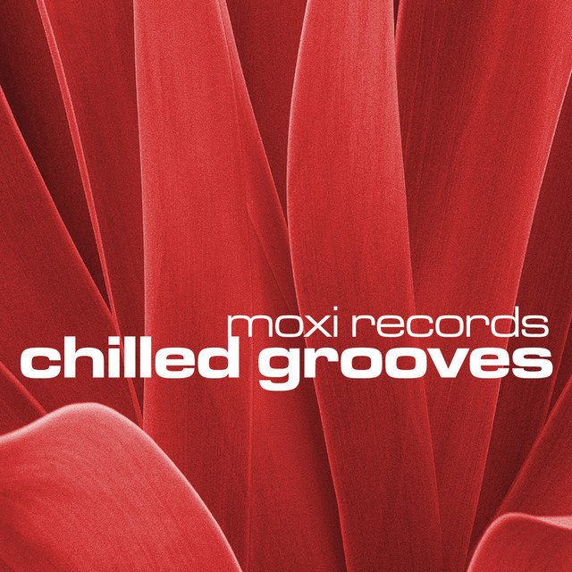 Moxi Chilled Grooves