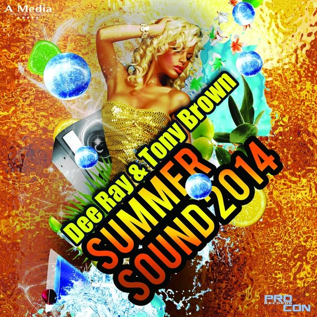 Summer Sound 2014