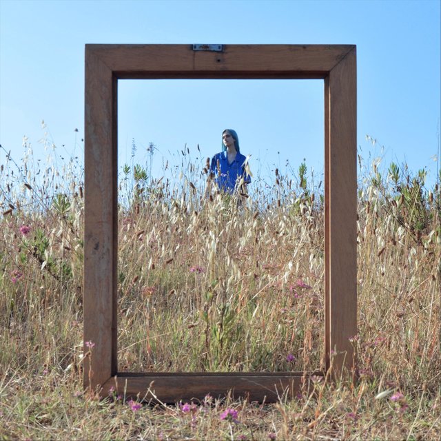 Window