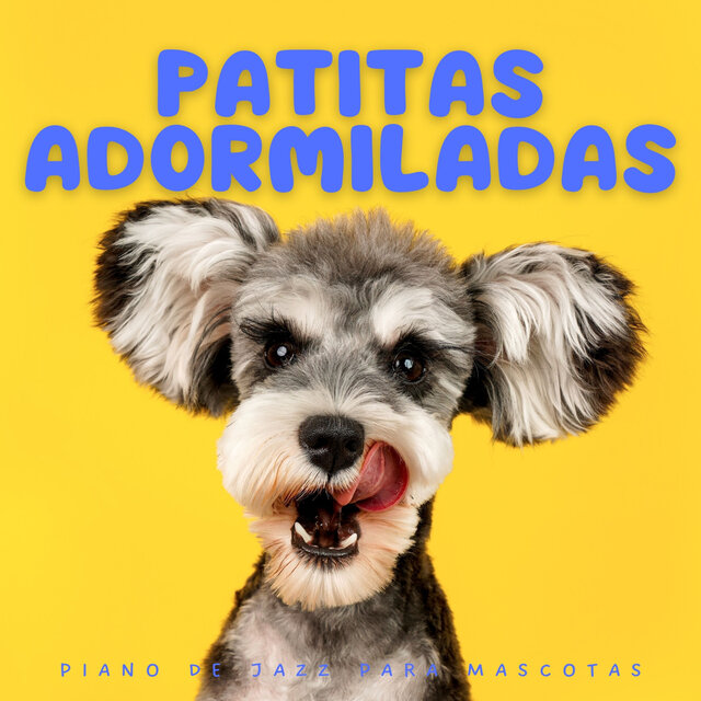 Patitas Adormiladas: Piano De Jazz Para Mascotas