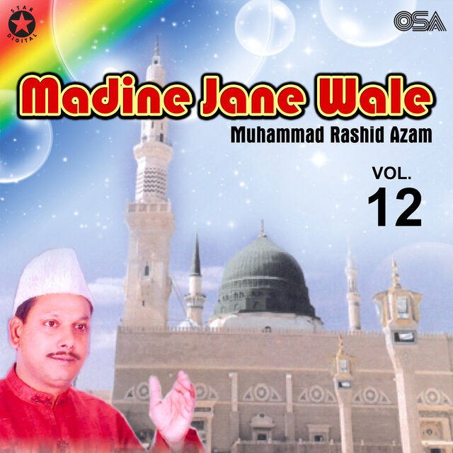 Madine Jane Wale, Vol. 12